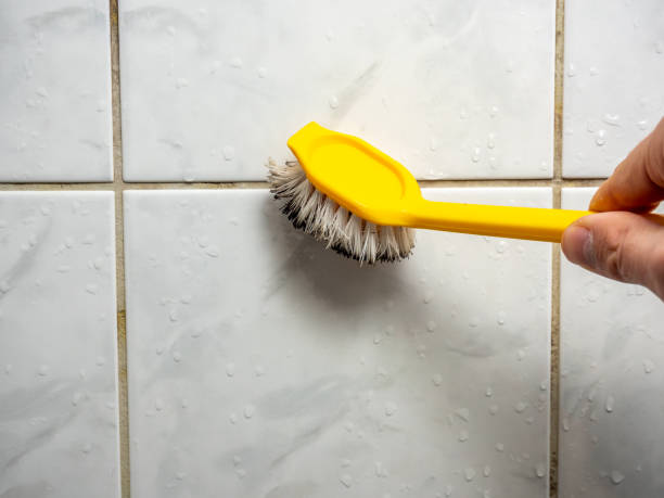 Best Mold Testing and Inspection Services in Niagara, WI