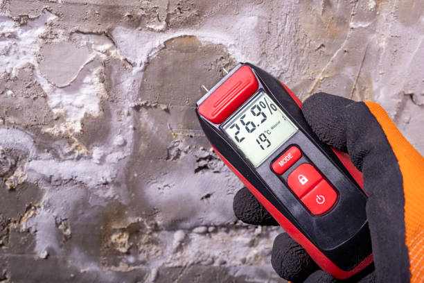 Niagara, WI Mold Remediation Company