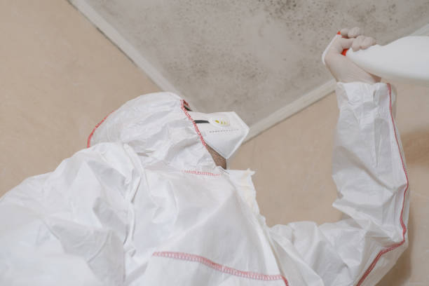 Professional Mold Remediation in Niagara, WI